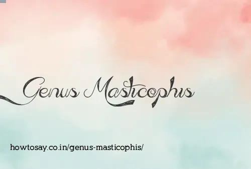 Genus Masticophis