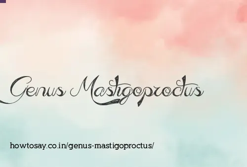 Genus Mastigoproctus