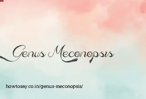 Genus Meconopsis