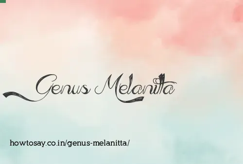 Genus Melanitta