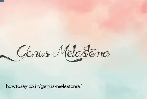 Genus Melastoma