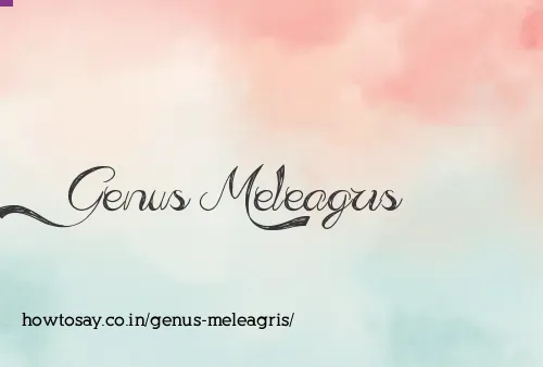 Genus Meleagris