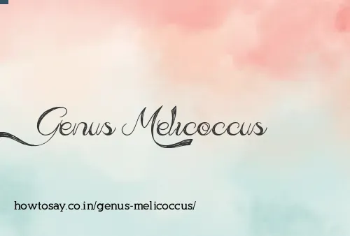 Genus Melicoccus