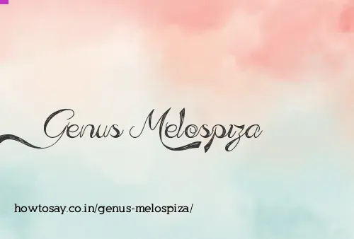 Genus Melospiza