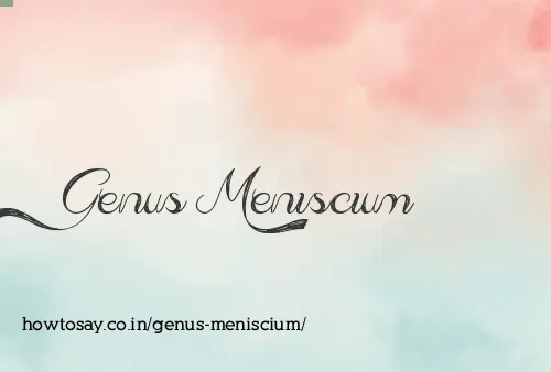 Genus Meniscium