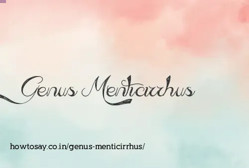 Genus Menticirrhus
