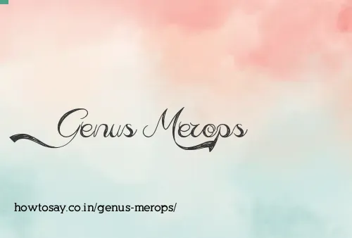 Genus Merops
