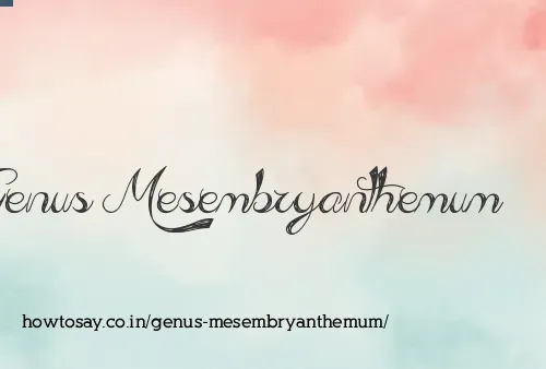 Genus Mesembryanthemum