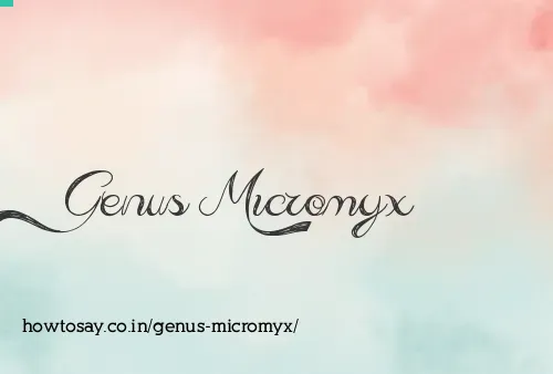 Genus Micromyx