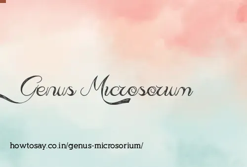 Genus Microsorium