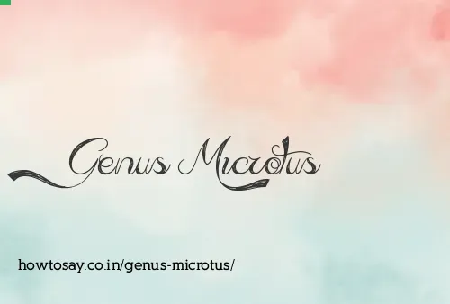 Genus Microtus