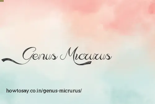 Genus Micrurus