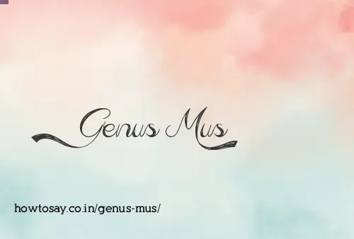Genus Mus