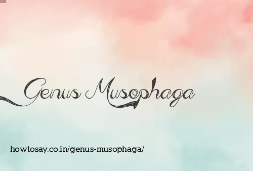 Genus Musophaga