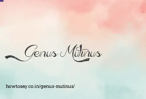 Genus Mutinus