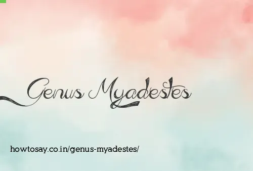 Genus Myadestes