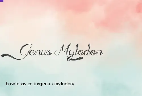 Genus Mylodon