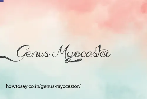 Genus Myocastor