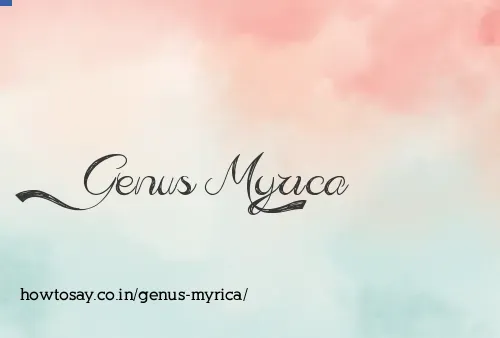 Genus Myrica