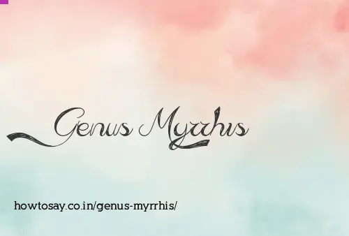 Genus Myrrhis