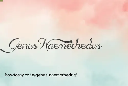 Genus Naemorhedus