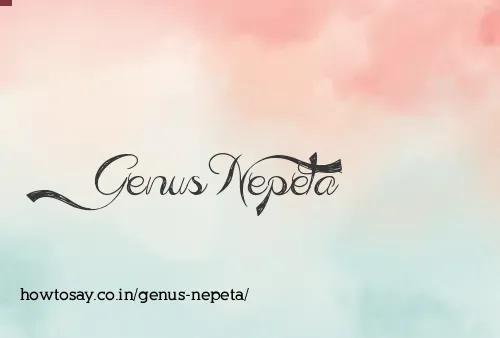 Genus Nepeta