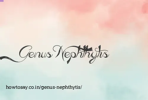 Genus Nephthytis