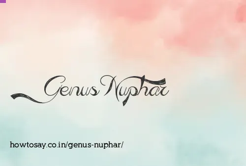 Genus Nuphar