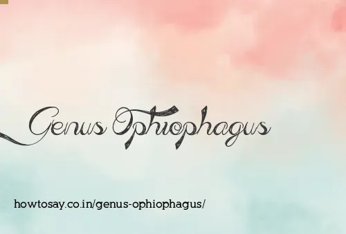 Genus Ophiophagus