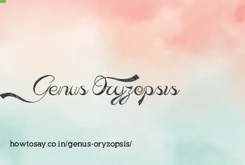 Genus Oryzopsis