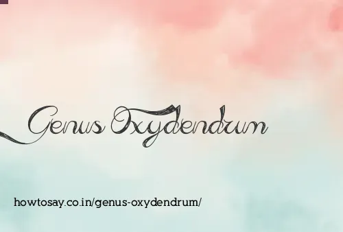 Genus Oxydendrum