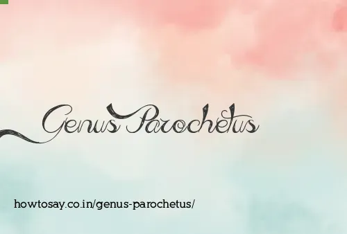 Genus Parochetus
