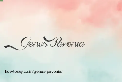 Genus Pavonia