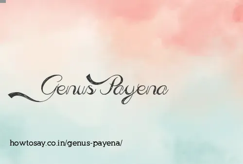 Genus Payena
