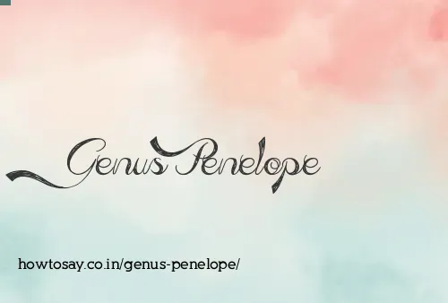 Genus Penelope