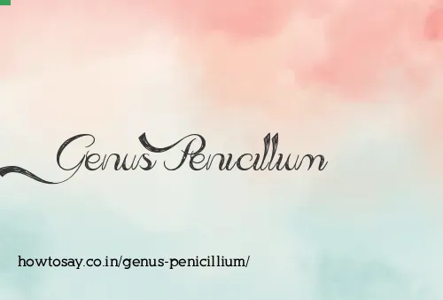 Genus Penicillium