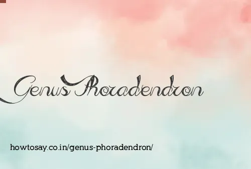 Genus Phoradendron