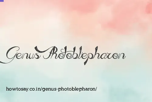 Genus Photoblepharon
