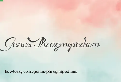 Genus Phragmipedium