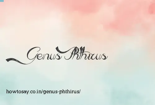 Genus Phthirus