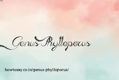 Genus Phylloporus