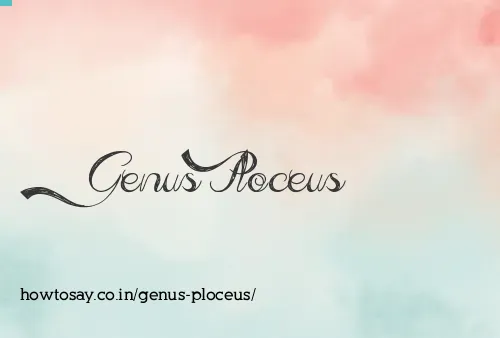 Genus Ploceus