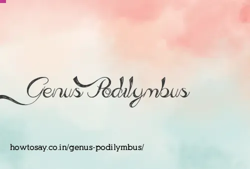 Genus Podilymbus