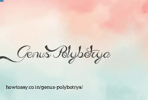 Genus Polybotrya
