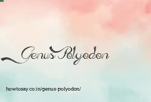 Genus Polyodon