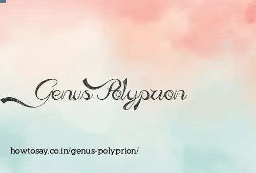 Genus Polyprion