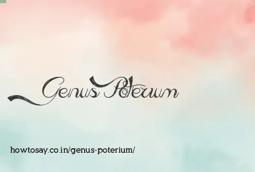 Genus Poterium