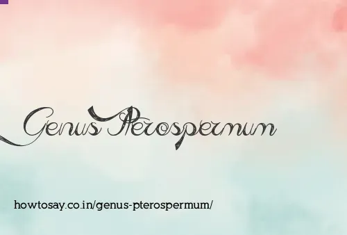 Genus Pterospermum