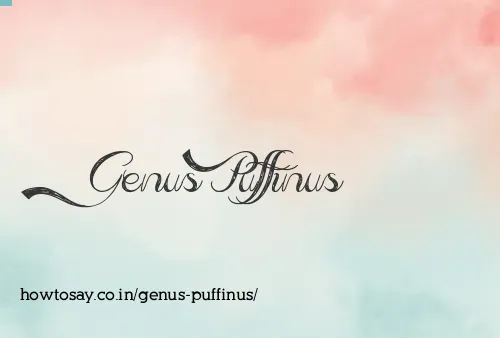 Genus Puffinus