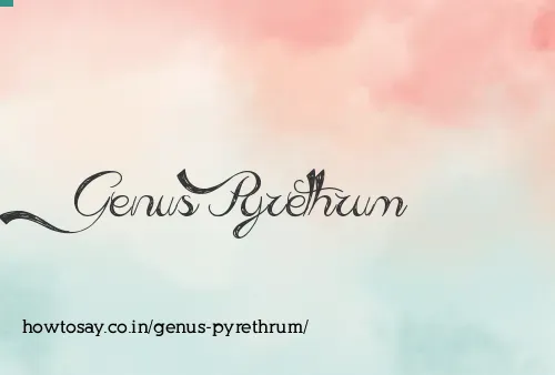 Genus Pyrethrum